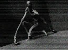 This picture is of a pure white skinned humanoid figure with crouched over with elongated legs and arms. The creature is known for hiding from the eyesight of other creatures, and becoming incredibly aggressive when looked at anyway.